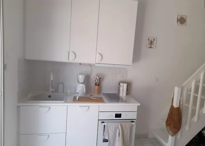 Сasa de vacaciones Maison Entièrement Restaurée Et Meublée à Neuf Saint-Cyprien (Pyrenees-Orientales)